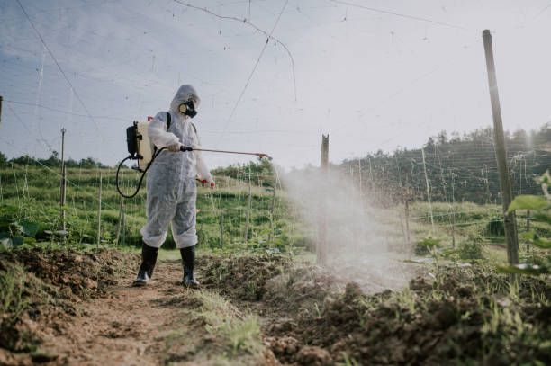 Best Best Pest Control Companies  in Aptos Hills Larkin Valley, CA