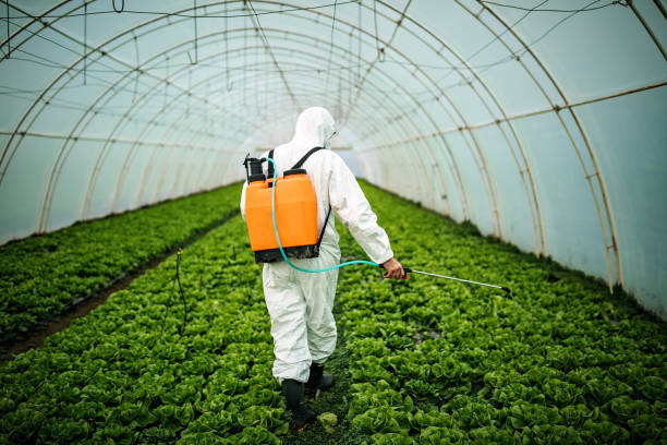 Best Emergency Pest Control  in Aptos Hills Larkin Valley, CA