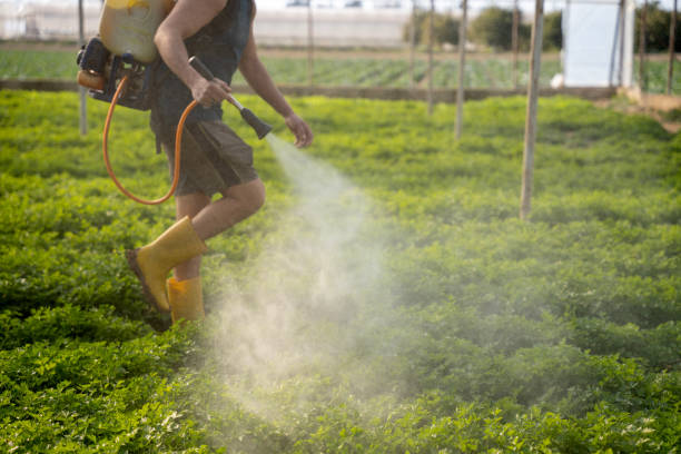 Best Best Pest Control Companies  in Aptos Hills Larkin Valley, CA