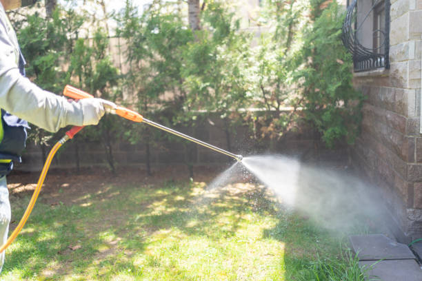 Reliable Aptos Hills Larkin Valley, CA Pest Control Solutions